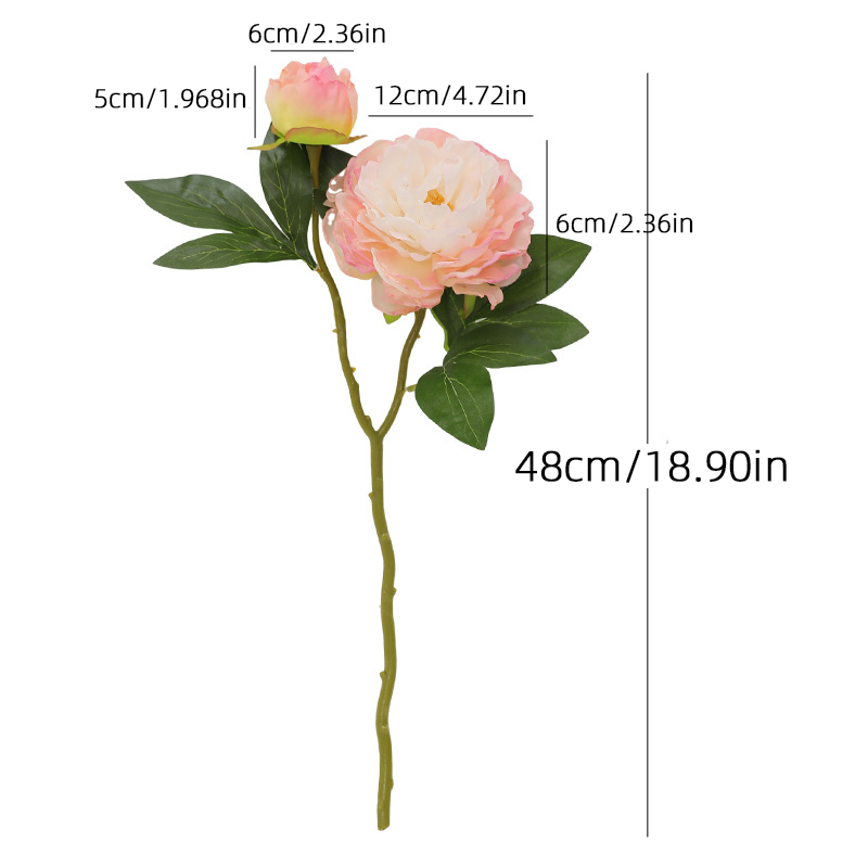 Simulation de pivoine rétro à  - Photography Artificial Lighting avis et prix